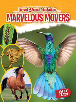 cover image of Marvelous Movers
